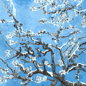 花臂凉太9周年完整视频免费
